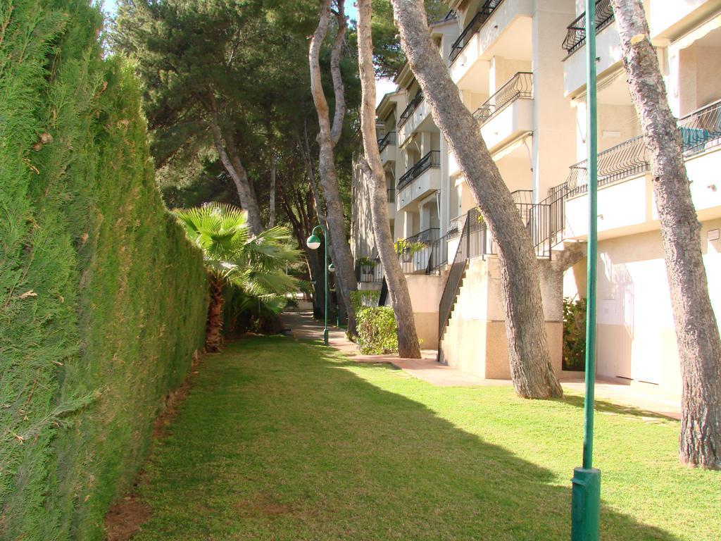 Playamar Altamar Apartments Alcossebre Habitación foto